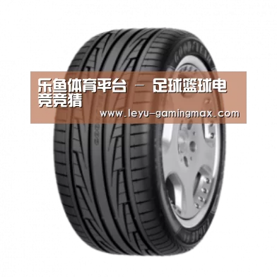 乐鱼官方入口产品名称三