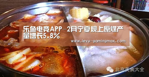乐鱼电竞APP-2月宁夏规上原煤产量增长5.8%(图2) 乐鱼电竞APP