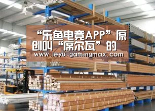 “乐鱼电竞APP”原创叫“席尔瓦”的并非都是牛人,昔日巴西天才后腰,皇马如今300万欧元甩卖(图3) 乐鱼电竞APP