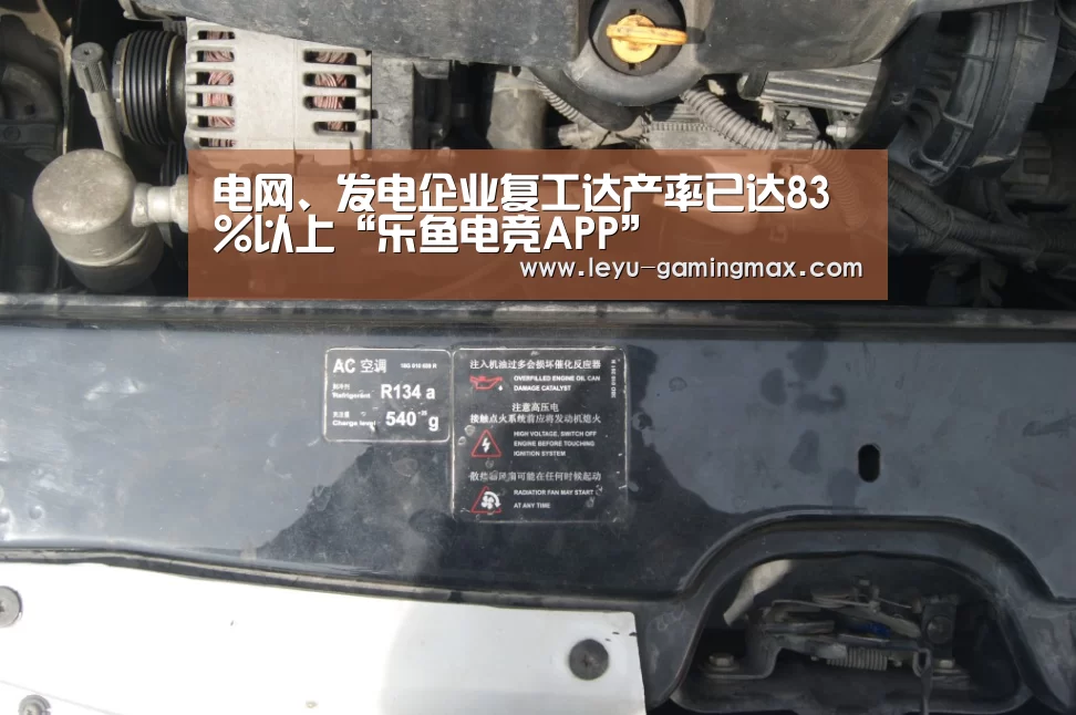 电网、发电企业复工达产率已达83%以上“乐鱼电竞APP”(图2) 乐鱼电竞APP