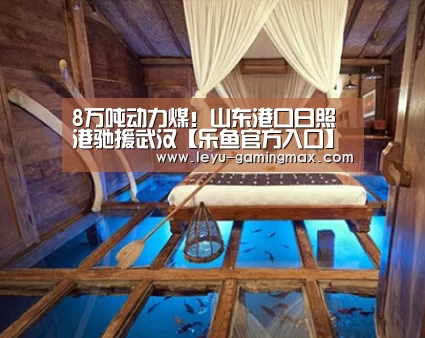 8万吨动力煤!山东港口日照港驰援武汉【乐鱼官方入口】(图2) 乐鱼APP下载